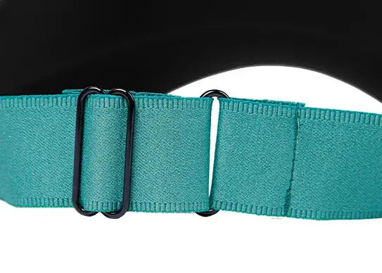 Custom Antibacterial Deodorizing Sun Visors