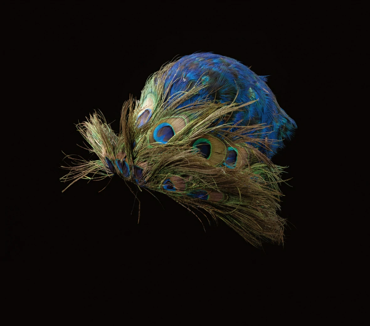 Unveiling Crowned Elegance: Feather hats